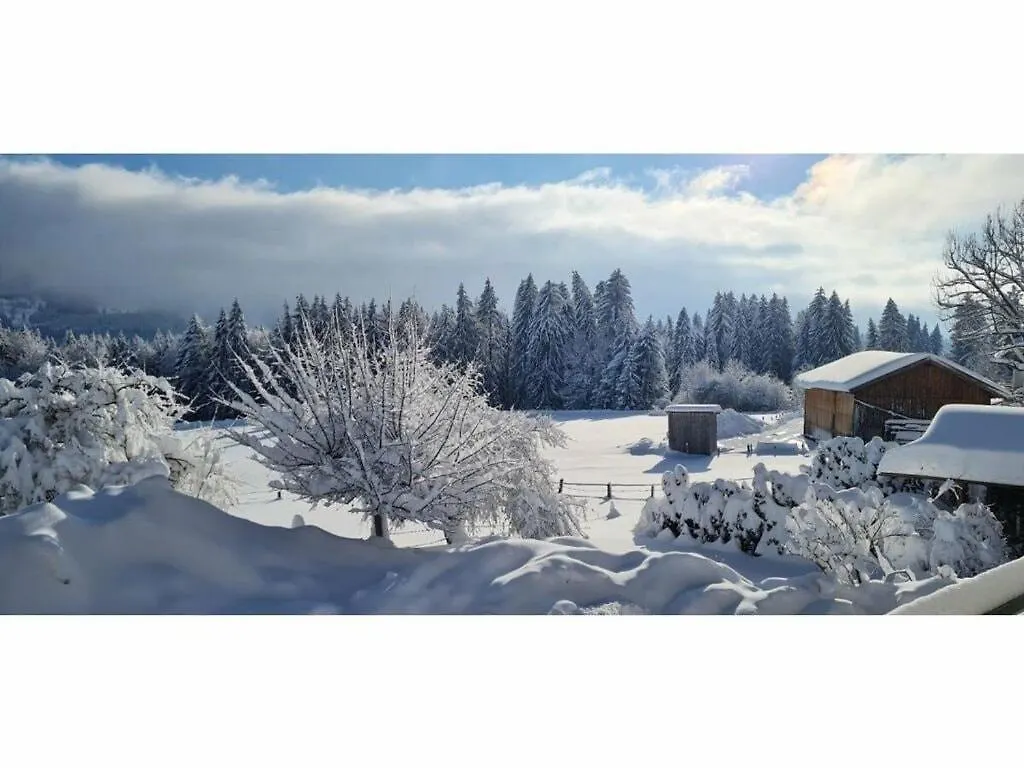 Alpine Lodge Comfortable Holiday Residence Wertach Γερμανία